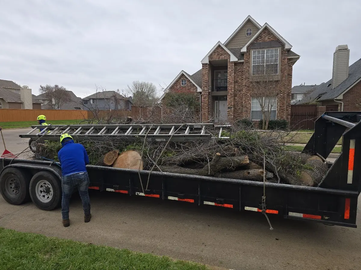 Expert Tree Fertilization with proper safety equipment in Carnesville